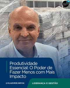 Produtividade - Vladimir Neiva