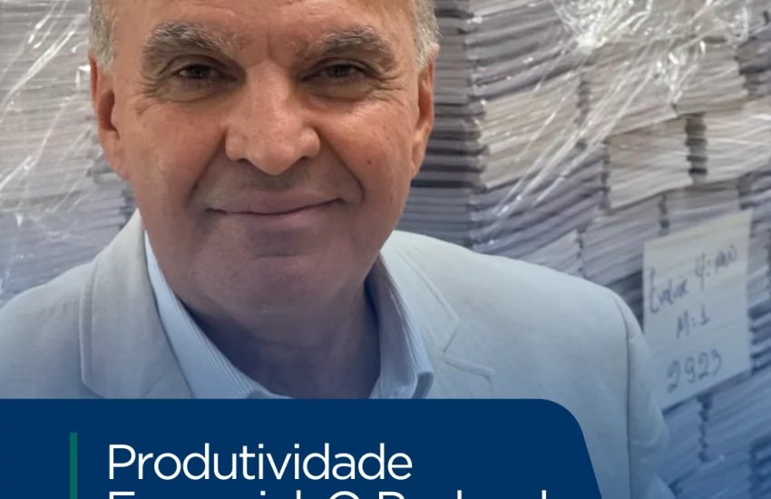 Produtividade - Vladimir Neiva